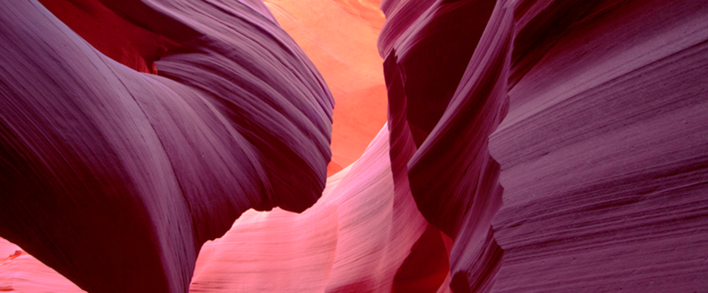 Antelope4